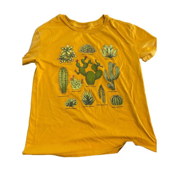 Women's Small Tee Shirt Bundle Fifth Sun Forever 21 Double Zero - Picture 6 of 14